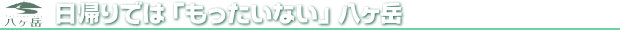 �R�����ɔ��܂��Ă�����蔪���x