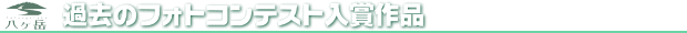 �ߋ��̃t�H�g�R���e�X�g���܍�i