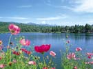 Lake Tateshina