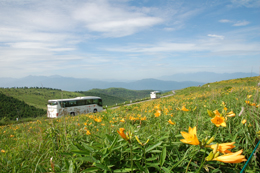 車山高原