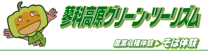 Α̌