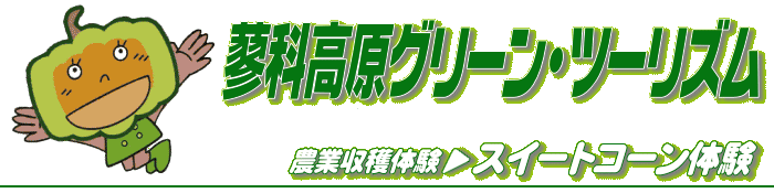 XC[gR[̌