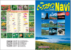 表紙-裏表紙
