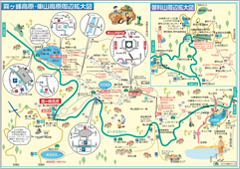 5-6ページ