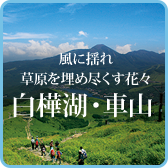 白樺湖・車山エリア情報