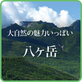 八ヶ岳エリア情報