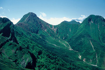 夏山の写真