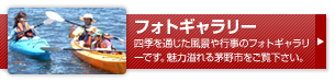 フォトギャラリー