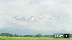 蓼科の風に吹かれて