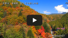 紅葉おしどり隠しの滝