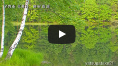 新緑の御射鹿池