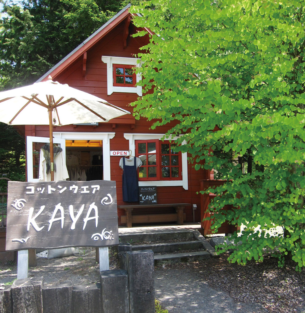 KAYA2