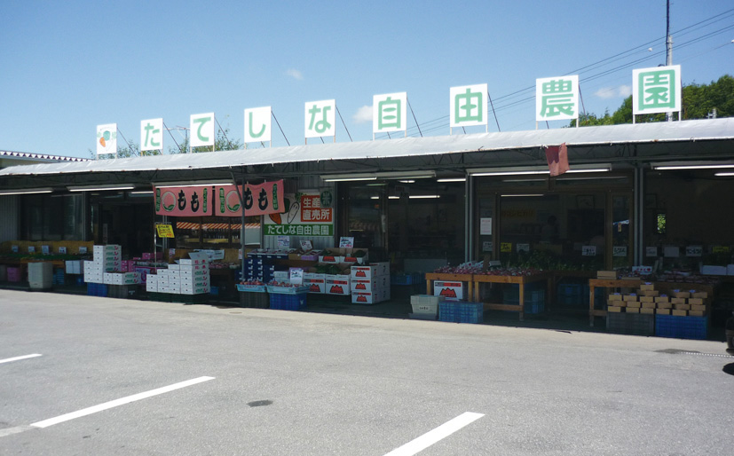 jiyu_hori2