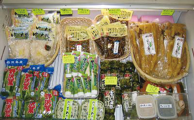 manyoudou1