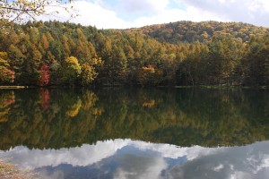 IMG_1771