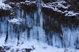 IMG_2984-1