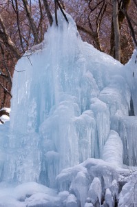 IMG_3037-1