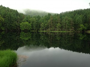 photo1