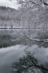 DSC_2821