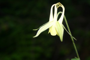 IMG_5476