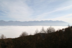 IMG_5960
