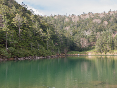 雌池