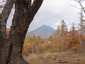 IMG_1412-1