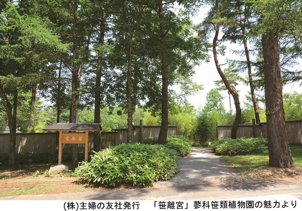 笹離宮