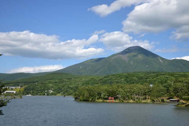 DSC_0446 (1)
