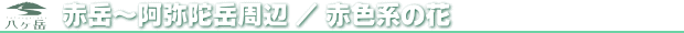 Ԋx`ɊxӁiԐFn̉ԁj
