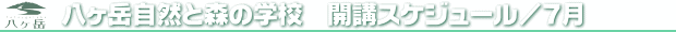7月