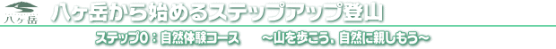Xebv0@̌R[X